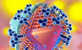 新冠疫苗輔料具有哪些特點(diǎn)?