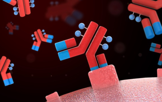 小分子聚乙二醇對蛋白藥物進(jìn)行修飾的類型