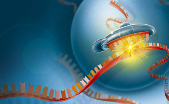 符合制藥企業(yè)需求的新冠疫苗輔料應具備哪些特性