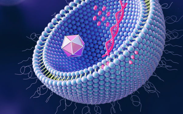 選擇PEG化磷脂有什么技巧