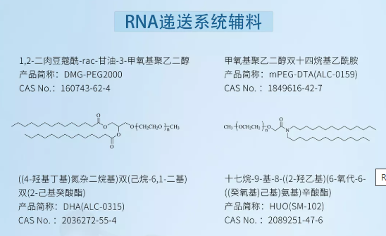賽諾邦格邀請函丨天津2022疫苗研發(fā)和技術創(chuàng)新高峰論壇
