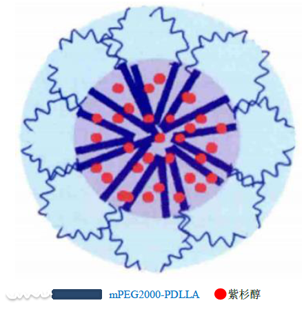 聚合物膠束技術(shù)及國產(chǎn)輔料供應(yīng)