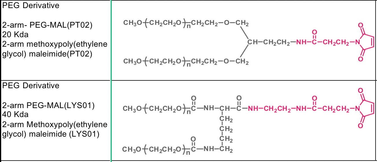 一種作為抗癌長(zhǎng)效治療劑的生物工程精氨酸耗竭酶