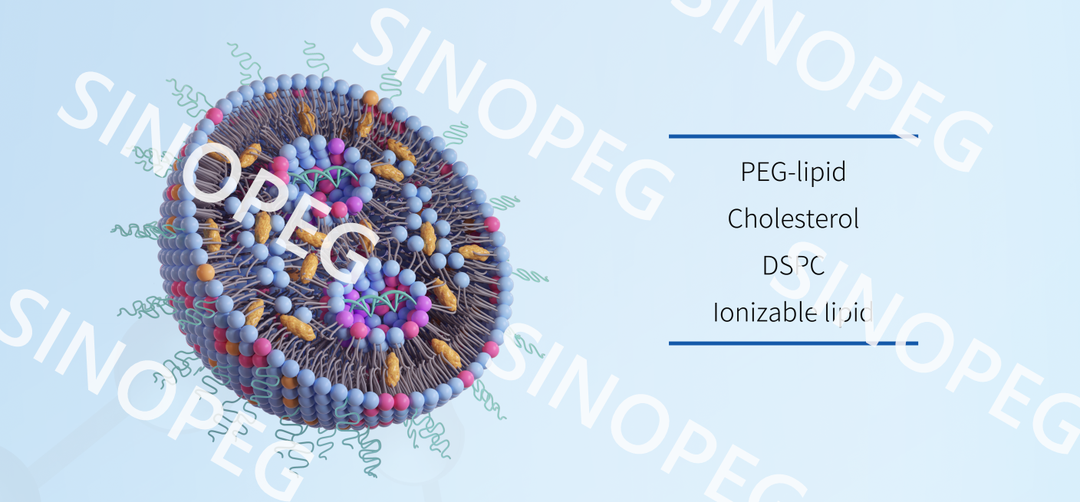 賽諾邦格丨膽固醇（植物源）供應(yīng)