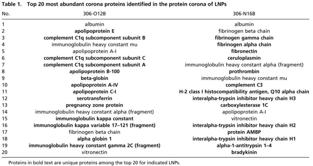 肺靶向和肝靶向LNPs的結(jié)構(gòu)差異，及其在mRNA遞送中的應(yīng)用
