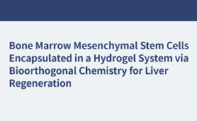 骨髓間充質(zhì)干細(xì)胞經(jīng)生物正交化學(xué)包封于水凝膠系統(tǒng)用于肝臟再生