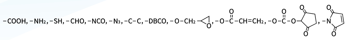 璀璨輝煌！賽諾邦格聚乙二醇衍生物榮獲省單項(xiàng)冠軍，彰顯科技實(shí)力！
