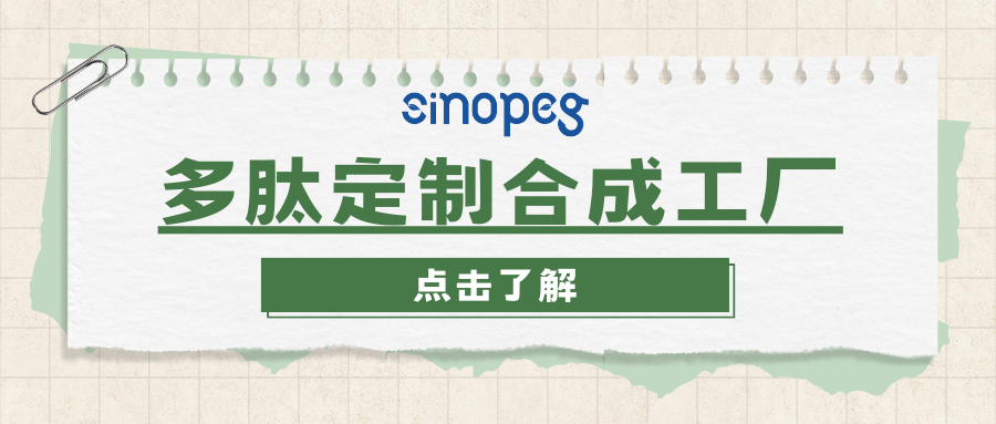 多肽定制合成工廠