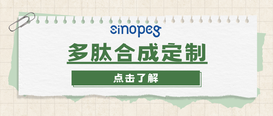 降糖多肽合成定制