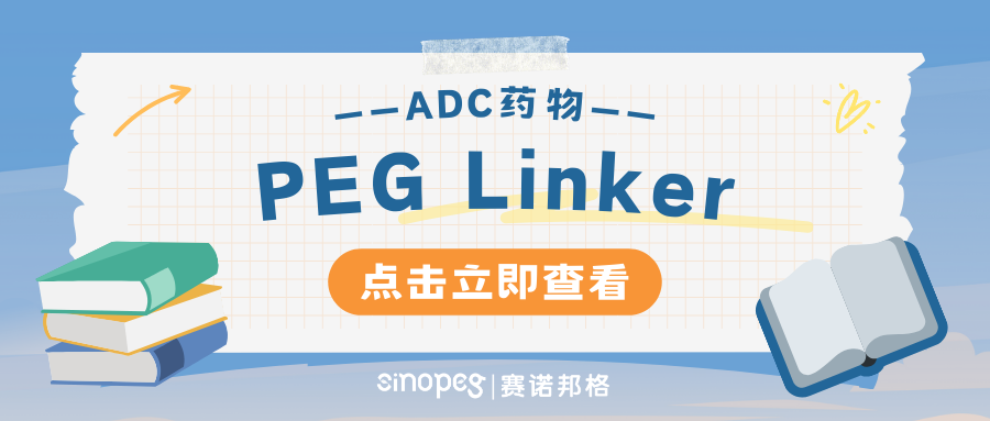 PEG Linker：促進(jìn)ADC藥物靶向治療的關(guān)鍵連接劑