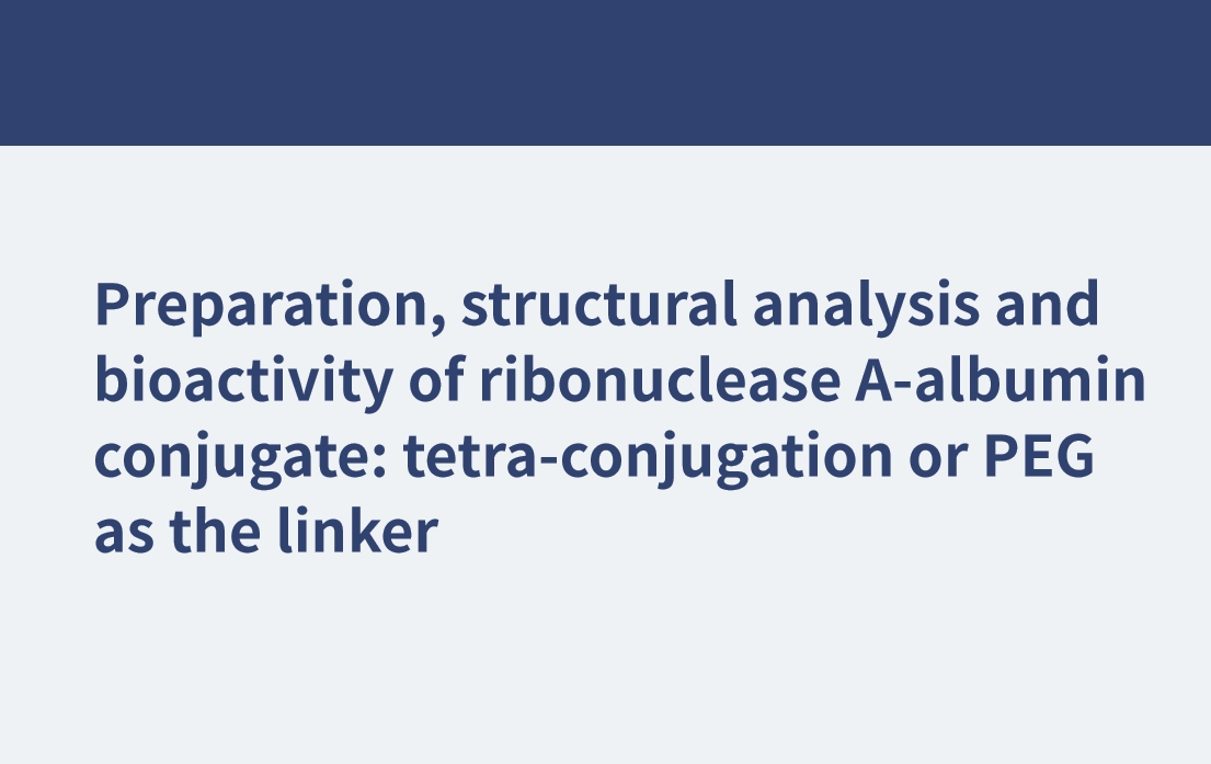 核糖核酸酶a-白蛋白偶聯(lián)物的制備、結(jié)構(gòu)分析及生物活性：四偶聯(lián)或PEG作為連接物