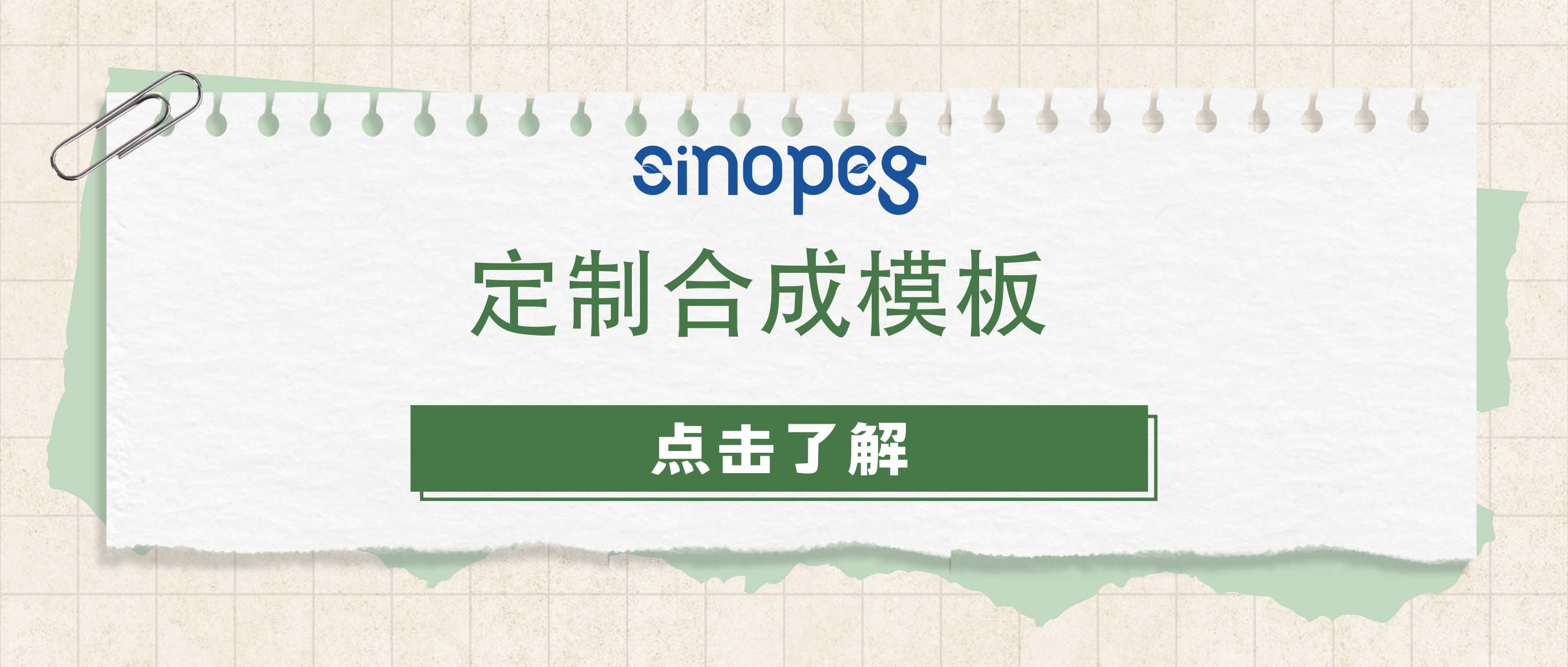 定制合成模板：個性化解決方案的成功之道