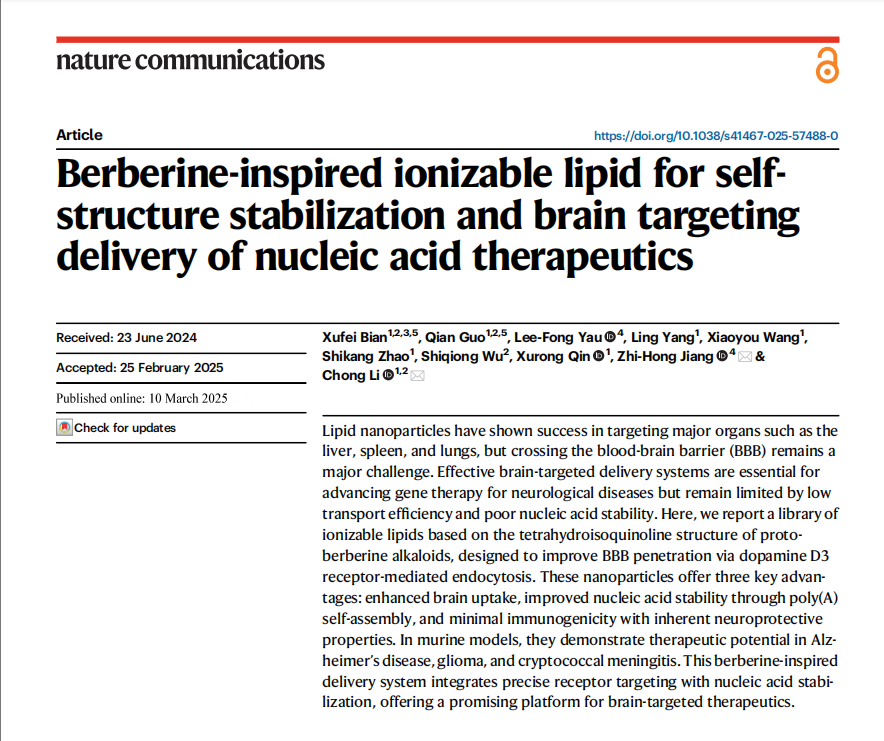 基于黃連素結(jié)構(gòu)的腦靶向突破：BE-ST納米平臺(tái)攻克血腦屏障難題