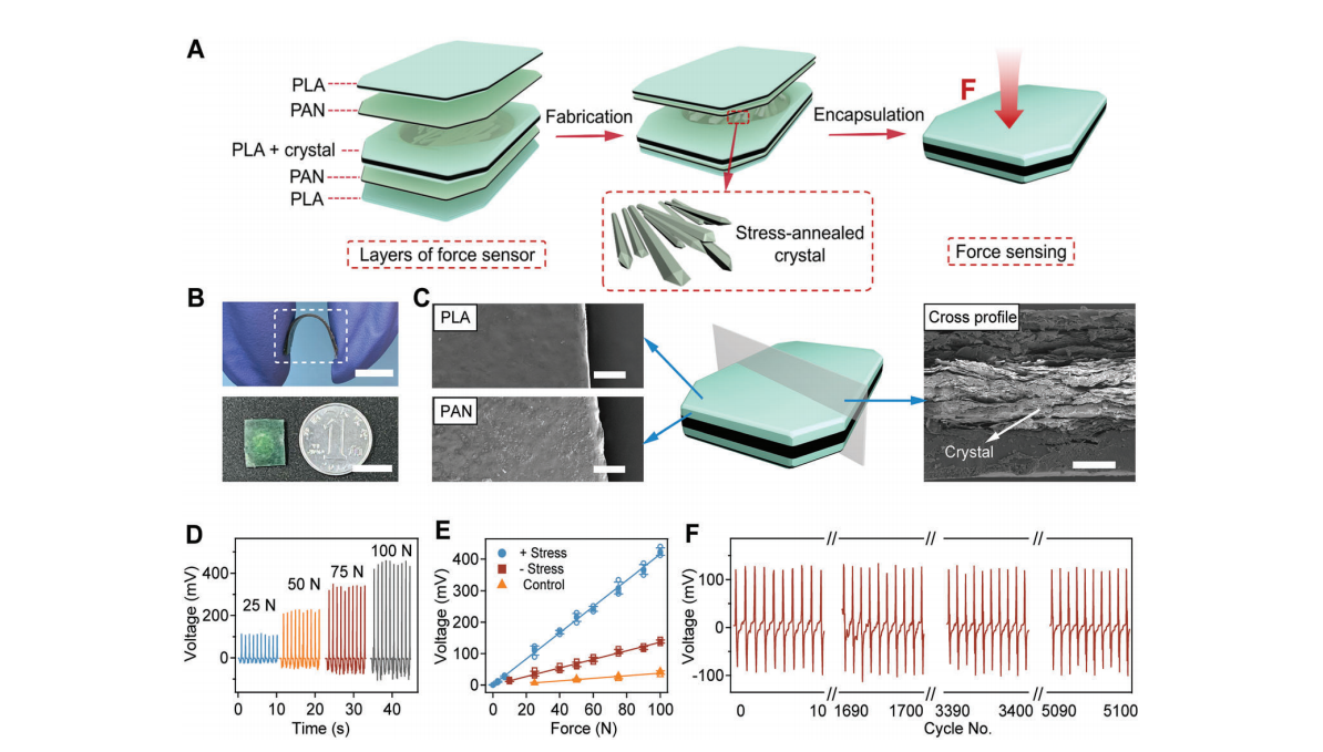 機(jī)械退火破解氨基酸晶體壓電難題！南京大學(xué)造出可生物降解的壓電力傳感器
