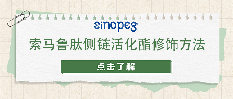 索馬魯肽側(cè)鏈活化酯修飾方法