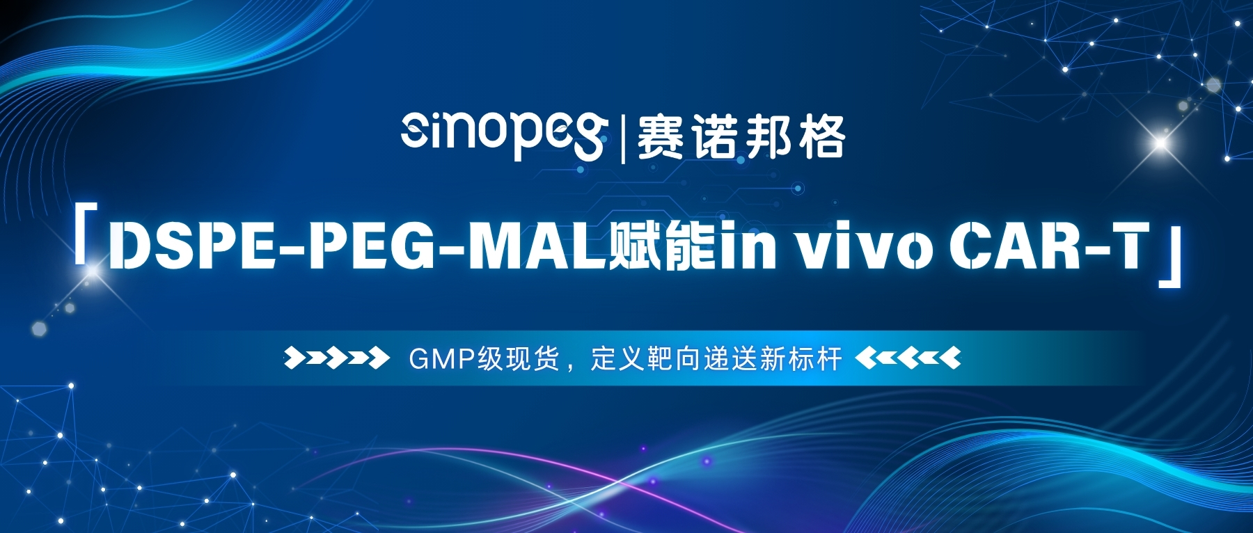 DSPE-PEG-MAL賦能in vivo CAR-T：GMP級現(xiàn)貨，定義靶向遞送新標(biāo)桿