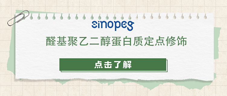 醛基聚乙二醇蛋白質(zhì)定點(diǎn)修飾